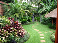 Backyard landscaping Backyard landscaping