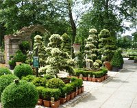 Garden centres Garden centres