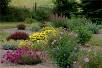 Garden landscaping Garden landscaping