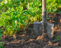 Gardeners Gardeners