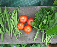 Gardening supplies Gardening supplies
