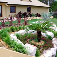 Landscape contractors Landscape contractors